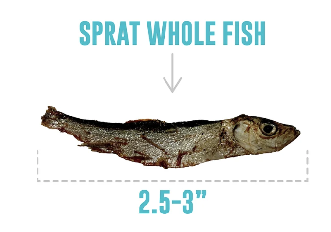 Icelandic+ Dog Treat Sprats Whole 2 oz