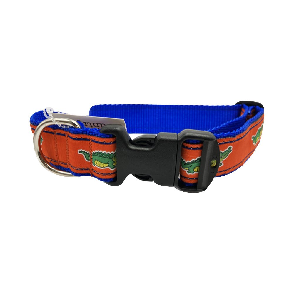 Orange dog clearance collar and leash