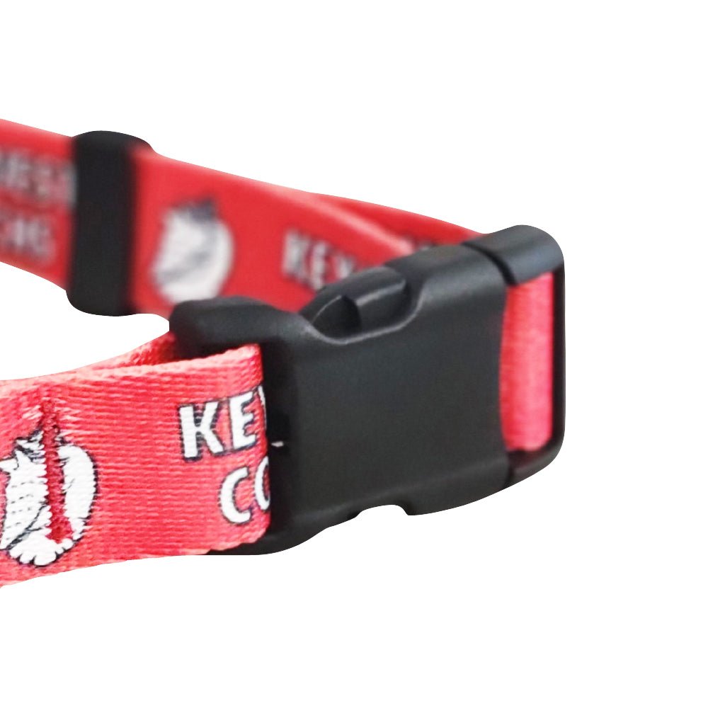 Key West Conchs - Limited - Low Country Pet - Dog Collar - LCP - 671891596172